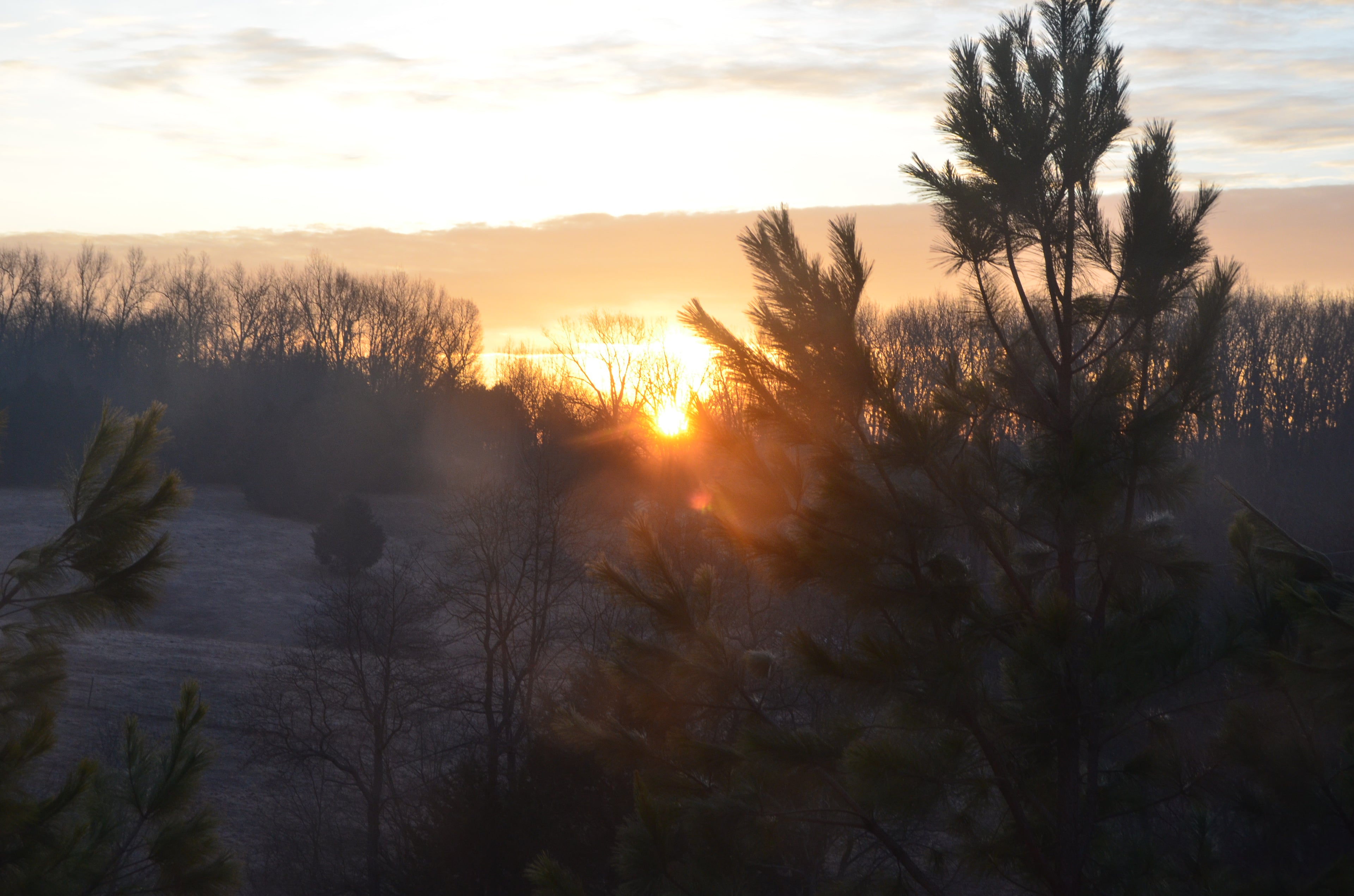 Morning Sunrise in the Country Photo