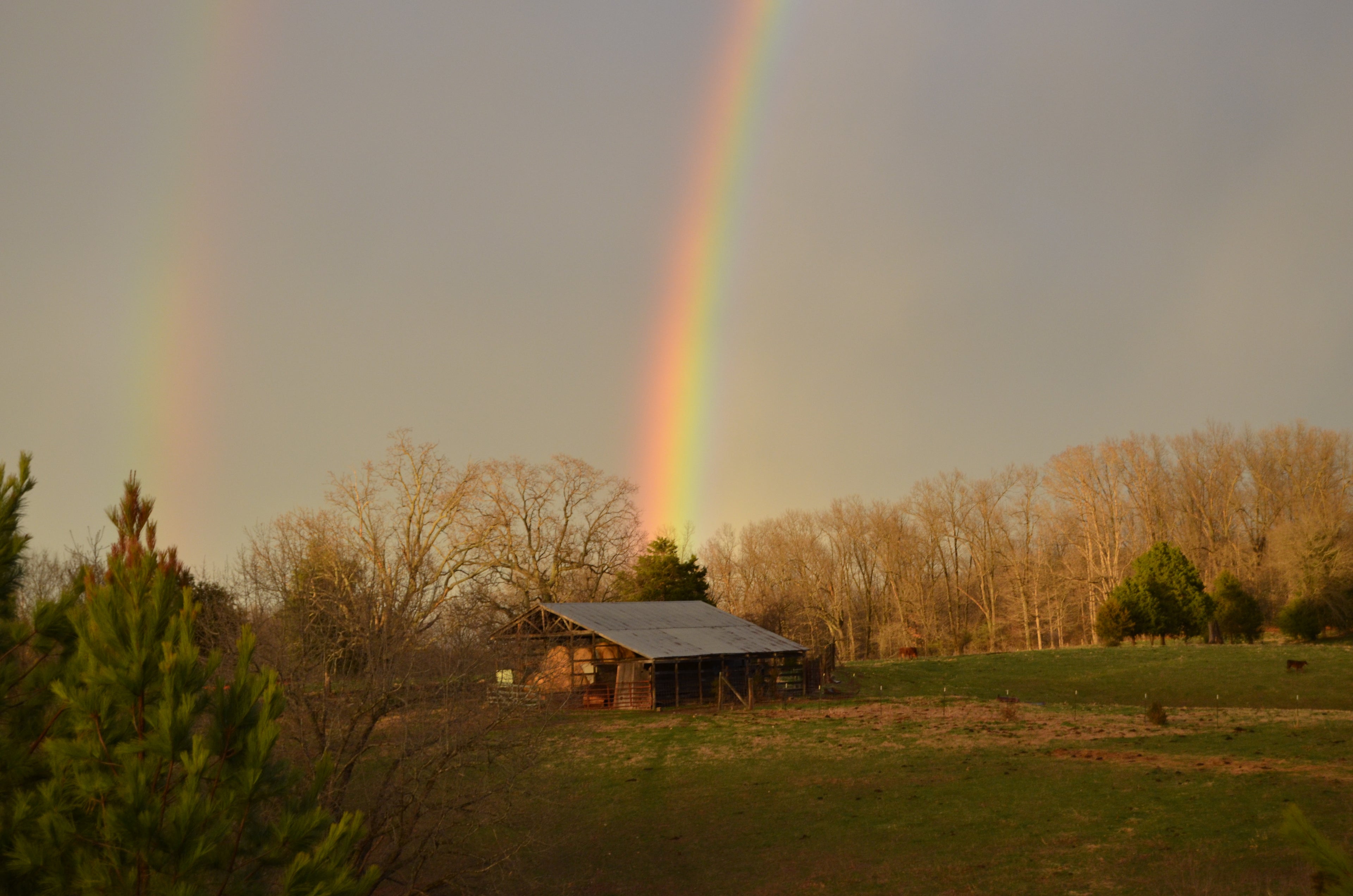 Double Rainbow Country Loving Photo